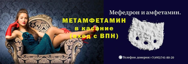 шишки Новозыбков