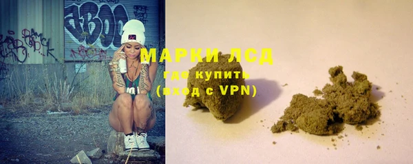 шишки Новозыбков