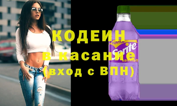 шишки Новозыбков