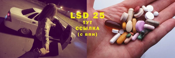 шишки Новозыбков