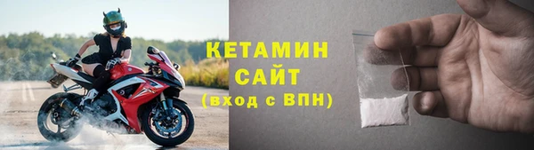 шишки Новозыбков