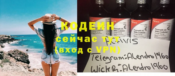 шишки Новозыбков