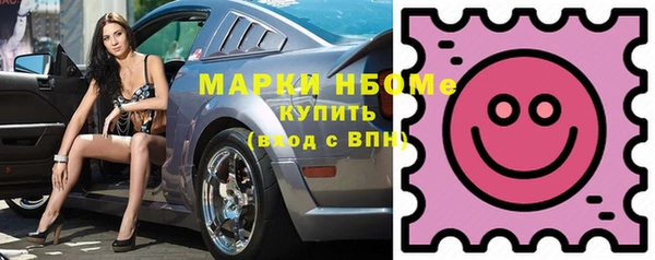 шишки Новозыбков