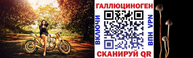 Галлюциногенные грибы прущие грибы  Купить где  Южа 
